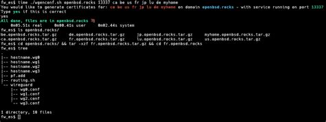 openbsd 6.5 wireguard
